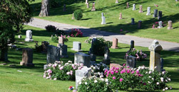 Pine Hill Cemetery